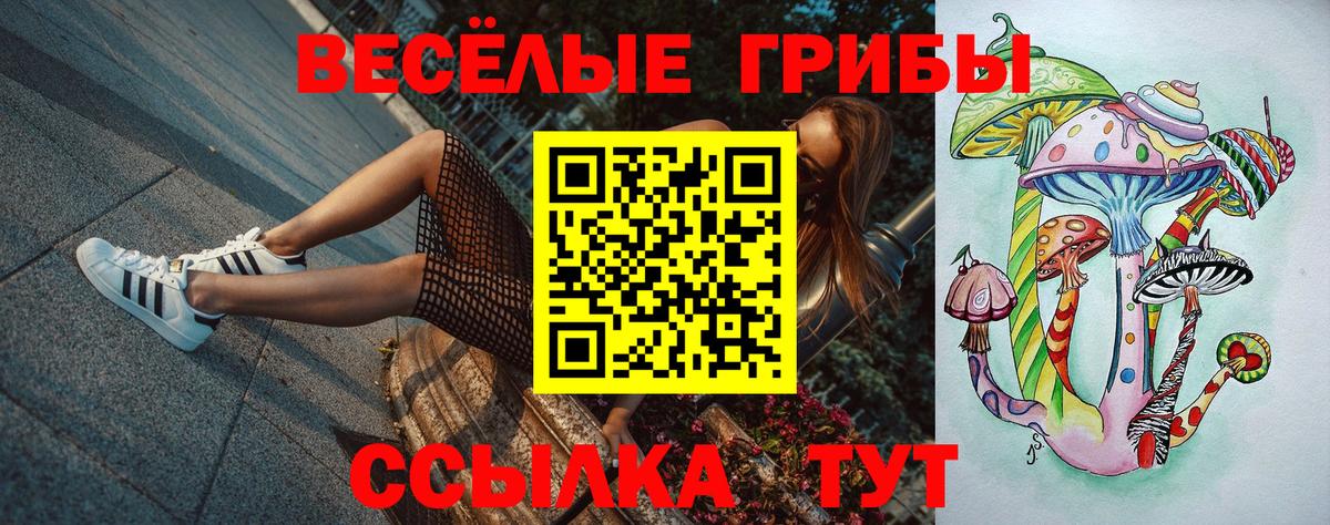 Галлюциногенные грибы мухоморы  Галлюциногенные грибы Magic Shrooms  Вход с VPN  Новозыбков 