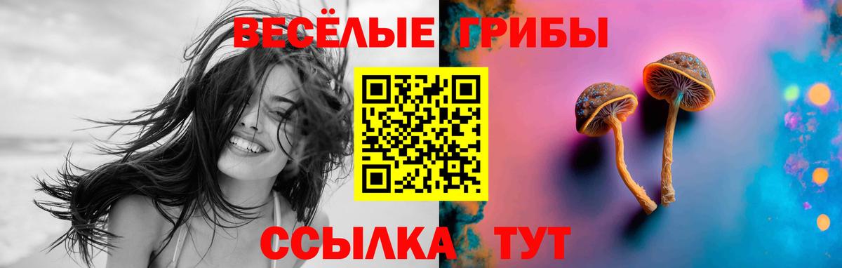 КЕТАМИН  Меф  Кокаин  Мефедрон кристаллы  Новозыбков  Гашиш  ГАШИШ  Канабис  MDMA  Вход с VPN 
