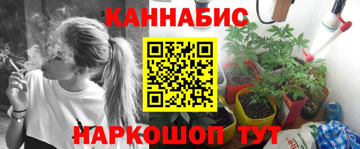 МАРИХУАНА семена  Каннабис VHQ  Вход с VPN  Шишки марихуана Ganja  Новозыбков 